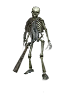 Esqueleto.gif